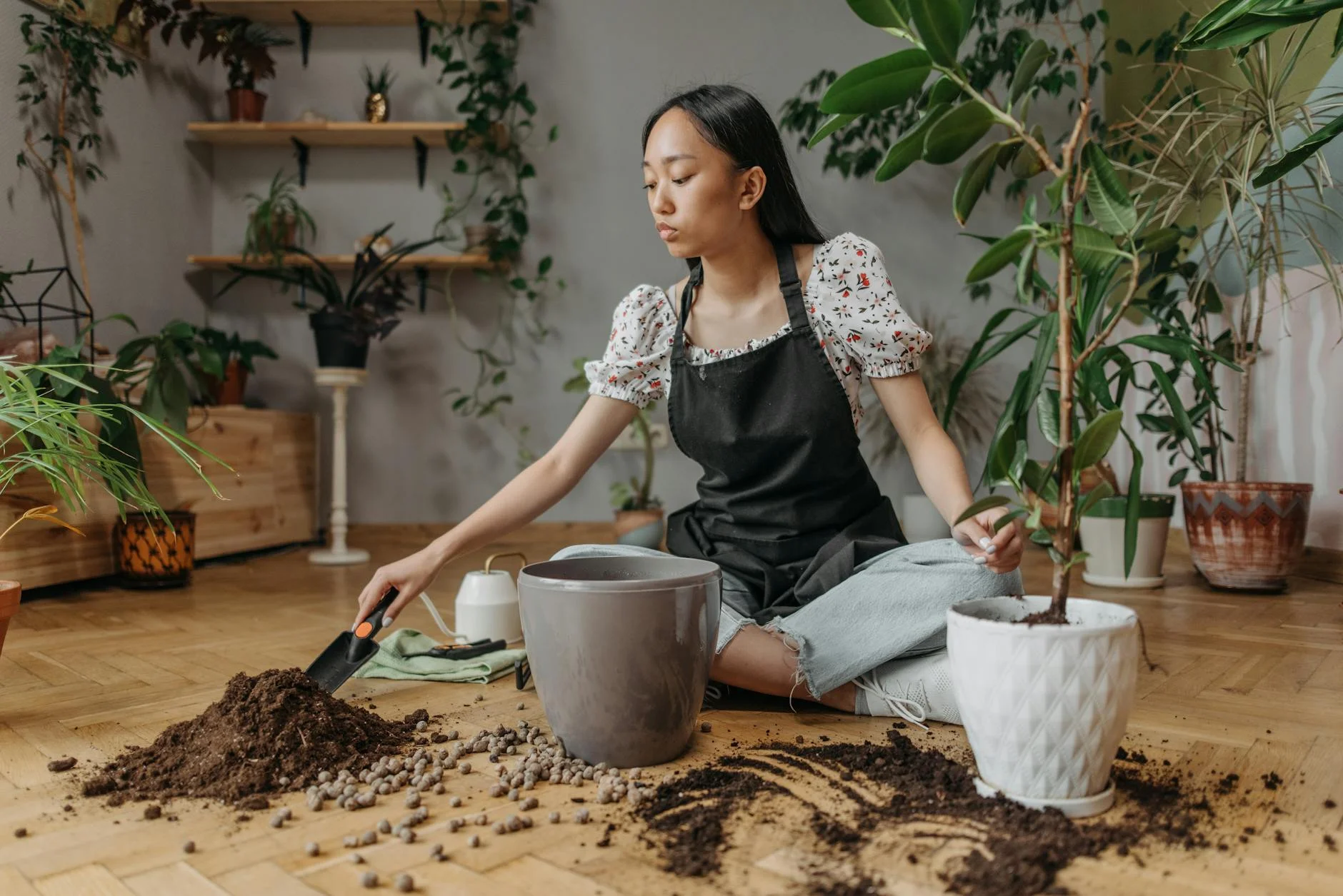 Cultivo em Vasos: 7 Estratégias para Solo Orgânico Fértil por Anos