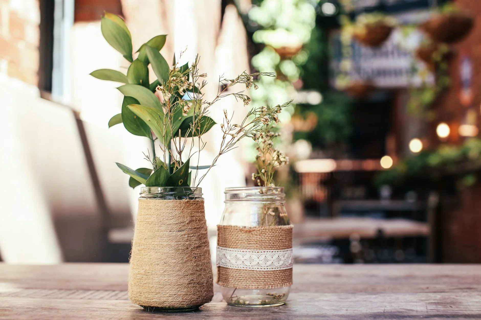 Green plants with lush leaves in glass vases decorated with rope placed on wooden table in modern cafeteria on blurred background — Foto: Rachel Claire / Pexels