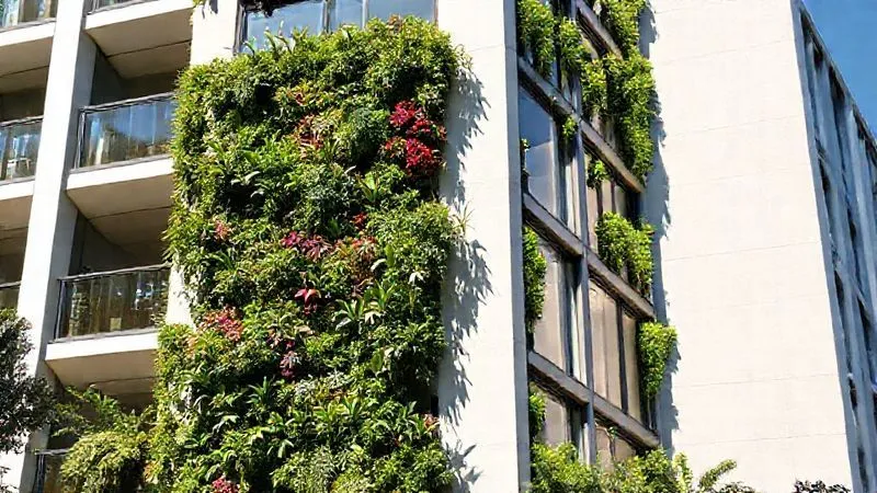 A vibrant vertical garden artfully integrated into a modern building facade, demonstrating thoughtful design and optimal sun exposure, casting beautiful shadows. The architecture is modern and clean, with the garden providing a striking contrast of lush greenery. Photorealistic, professional photography, 8K, cinematic lighting, sharp focus on the interplay of light and shadow. A vibrant vertical garden artfully integrated into a modern building facade, demonstrating thoughtful design and optimal sun exposure, casting beautiful shadows. The architecture is modern and clean, with the garden providing a striking contrast of lush greenery. Photorealistic, professional photography, 8K, cinematic lighting, sharp focus on the interplay of light and shadow.