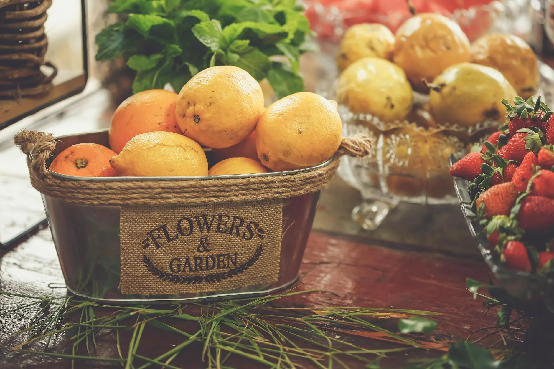 Close-up, macro shot of a hand gently pollinating a fruit tree flower with a small, soft brush, with golden hour lighting creating a warm glow. The flower is in sharp focus, and the background is a blurred, lush garden scene. Professional photography, 8K, cinematic lighting, sharp focus, depth of field, shot on a high-end DSLR. A rustic arrangement of fresh lemons, strawberries, and pears in garden decor. — Foto: Vidal Balielo Jr. / Pexels
