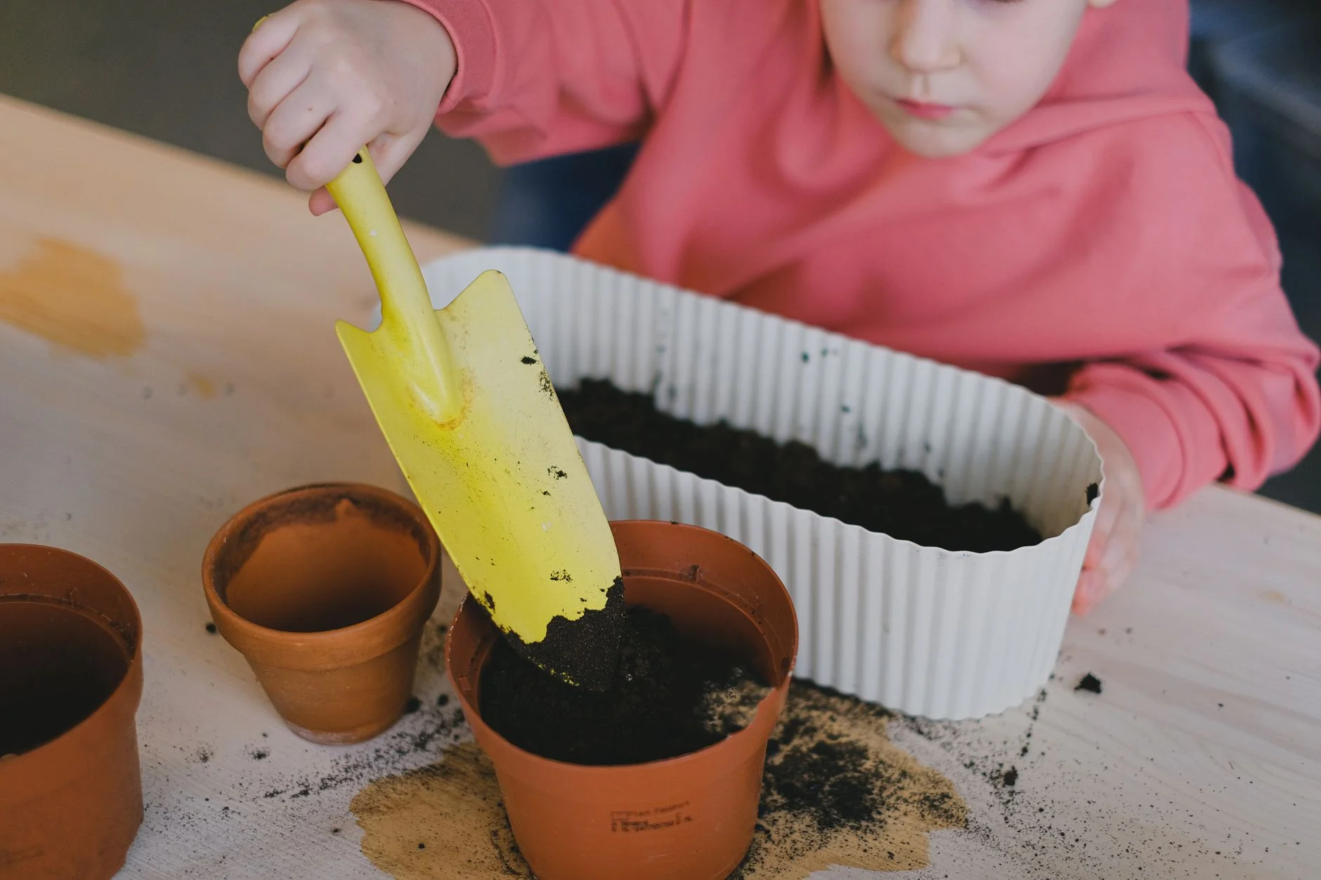 photorealistic, professional photography, 8K, cinematic lighting, sharp focus, depth of field, shot on a high-end DSLR, a cross-section of a potted plant showing healthy roots within a rich, dark organic soil, contrasting with a nearby pot showing compacted, lighter soil and struggling roots, highlighting the difference in vitality. Young child engaged in planting using clay pots and soil, learning gardening basics. — Foto: Anna Shvets / Pexels