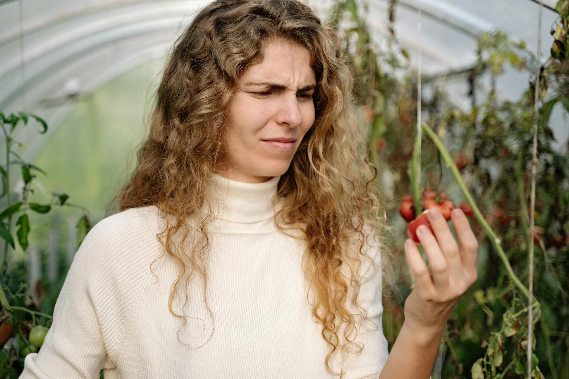 A young woman with a puzzled expression examines a tomato inside a greenhouse. — Foto: Yan Krukau / Pexels