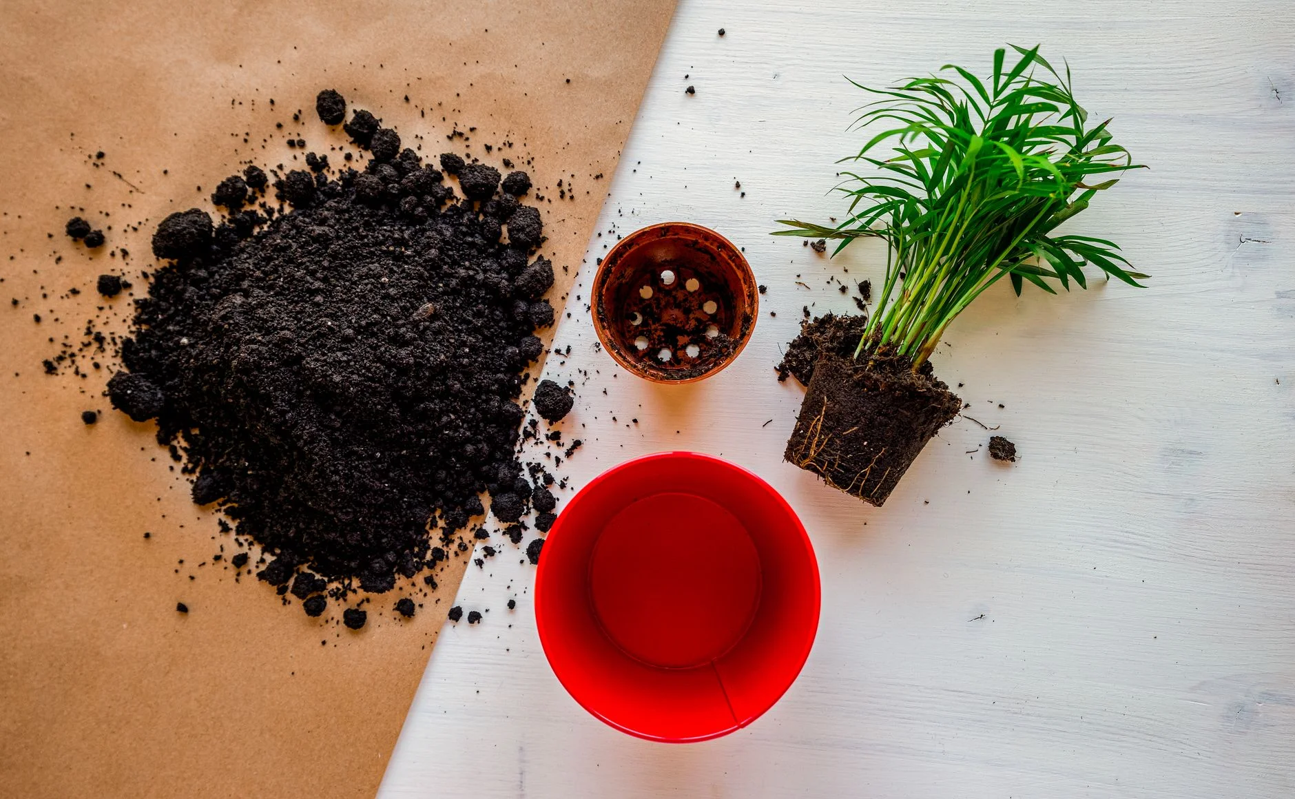 Top view of gardening setup with soil, pots, and plant ready for planting. — Foto: hasan kurt / Pexels