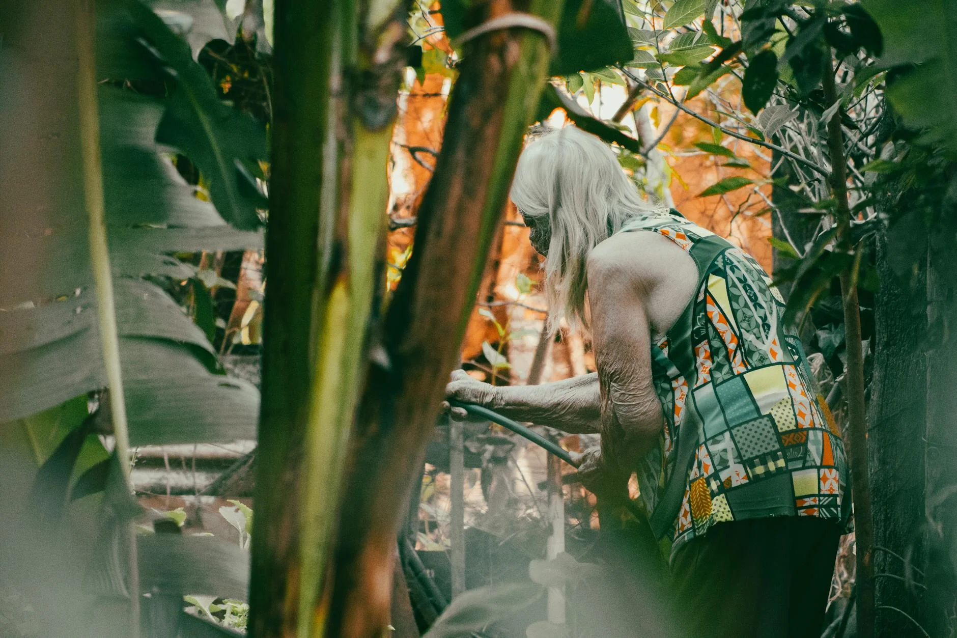 An elderly woman tends to her garden, creating a serene and fulfilling outdoor experience. — Foto: José Leandro / Pexels