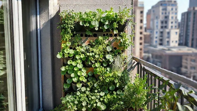 A photorealistic image of a sleek, modern vertical garden on a small urban balcony, with various herbs and leafy greens thriving. The design maximizes space, and the plants closest to the sunniest spots are visibly healthier. Cinematic lighting, sharp focus, 8K, shot on a high-end DSLR. A photorealistic image of a sleek, modern vertical garden on a small urban balcony, with various herbs and leafy greens thriving. The design maximizes space, and the plants closest to the sunniest spots are visibly healthier. Cinematic lighting, sharp focus, 8K, shot on a high-end DSLR.
