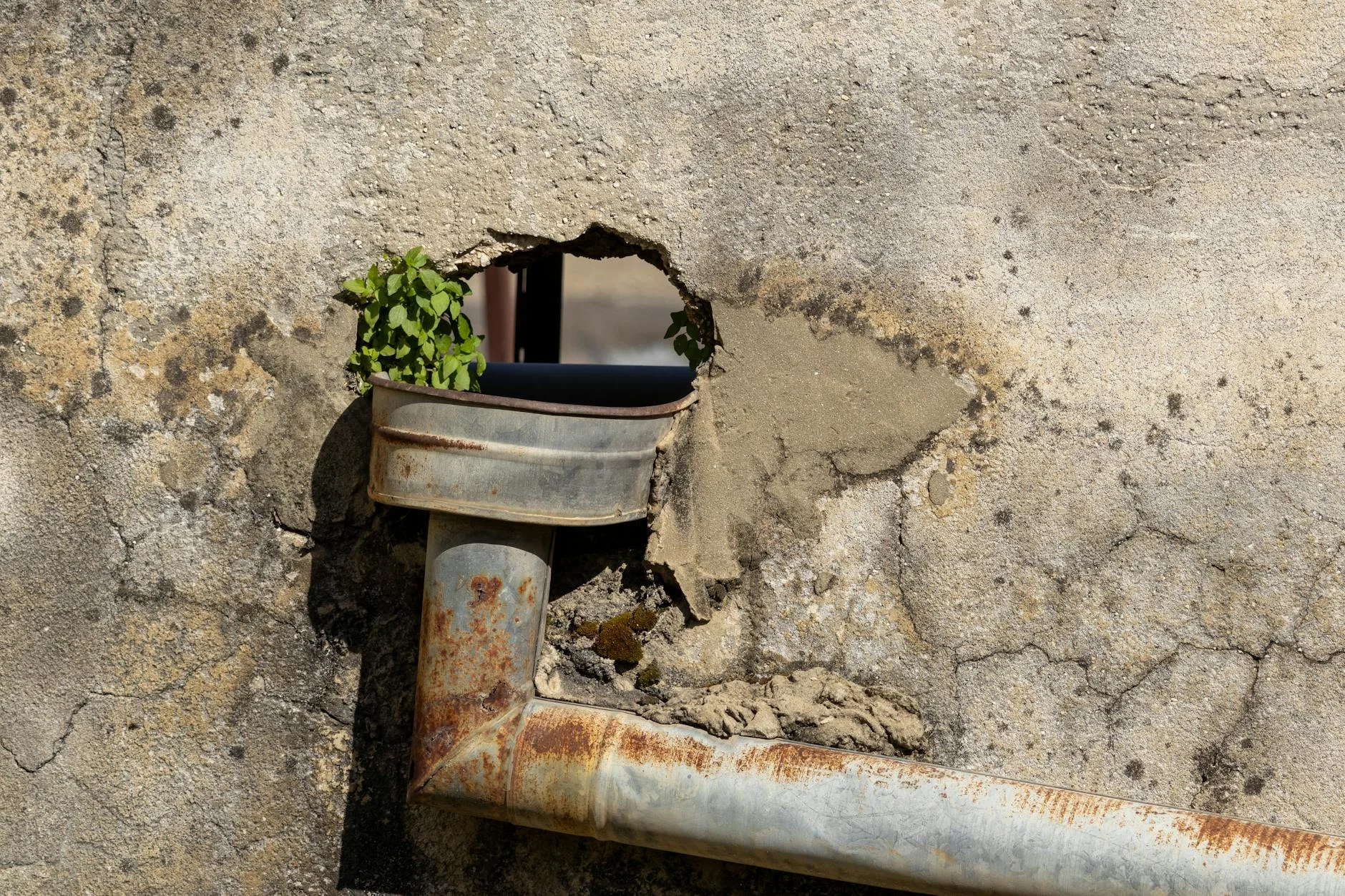 A photorealistic, professional photography, 8K, cinematic lighting, sharp focus, depth of field, shot on a high-end DSLR image of a cross-section of a French drain installation, clearly showing the trench, geotextile fabric, perforated pipe, and gravel layers, with water flowing through it. The scene is clean and illustrative, highlighting each component. A rusty drain pipe embedded in a weathered wall with green foliage emerging through a hole. — Foto: Abdallah Egbareia / Pexels