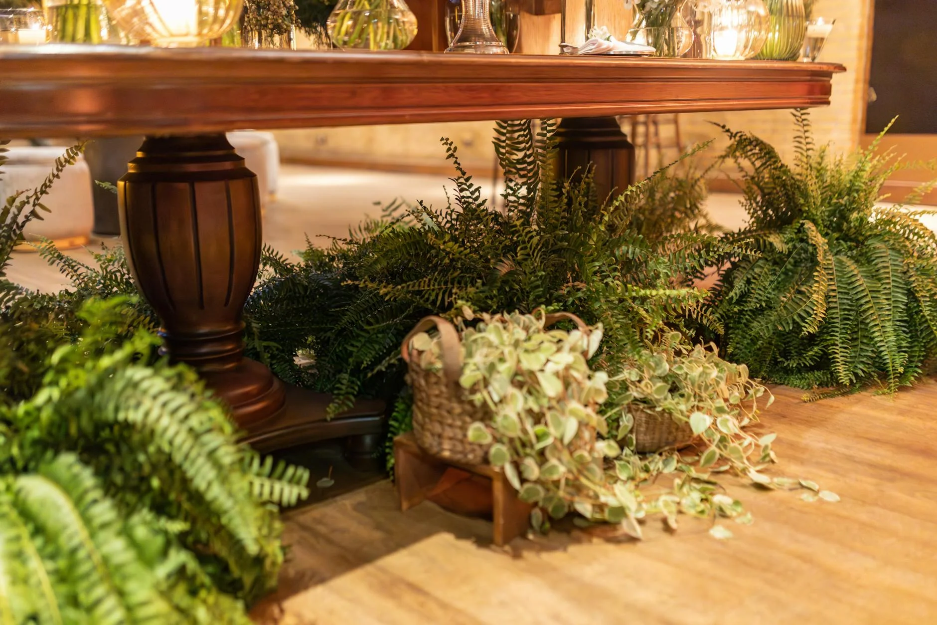 A stylish indoor scene showcasing a wooden table surrounded by lush ferns and potted plants, creating a warm atmosphere. — Foto: Matheus Bertelli / Pexels